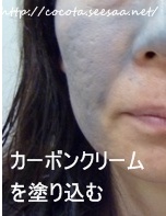 P1150414ss.jpg